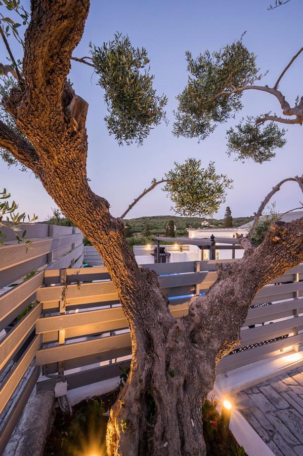 B&M Villas Metochi Siriliou Zewnętrze zdjęcie